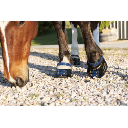 Voorste riemenpakket Scoot Boots Marineblauw