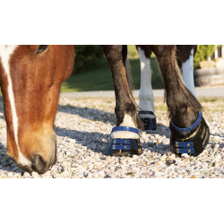 Voorste riemenpakket Scoot Boots Marineblauw