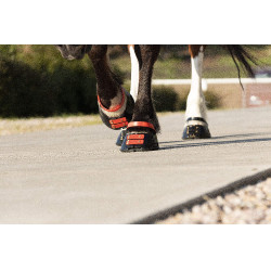 Paturonbanden Scoot Boots per 4 Hibiscus Rood Paturonbanden Scoot Boots per 4 Hibiscus Rood