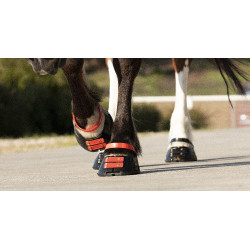 Paturonbanden Scoot Boots per 4 Hibiscus Rood Paturonbanden Scoot Boots per 4 Hibiscus Rood