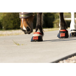 Paturonbanden Scoot Boots per 4 Hibiscus Rood Paturonbanden Scoot Boots per 4 Hibiscus Rood