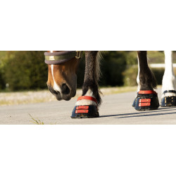 Paturonbanden Scoot Boots per 4 Hibiscus Rood Paturonbanden Scoot Boots per 4 Hibiscus Rood