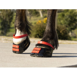 Paturonbanden Scoot Boots per 4 Hibiscus Rood Paturonbanden Scoot Boots per 4 Hibiscus Rood