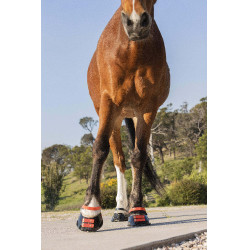 Paturonbanden Scoot Boots per 4 Hibiscus Rood Paturonbanden Scoot Boots per 4 Hibiscus Rood