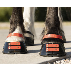 Paturonbanden Scoot Boots per 4 Hibiscus Rood Paturonbanden Scoot Boots per 4 Hibiscus Rood