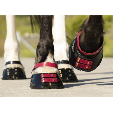 Paturonbanden Scoot Boots per 4 Donkerpaars Bordeaux