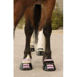 Paturonbanden Scoot Boots per 4 Bloesem Roze