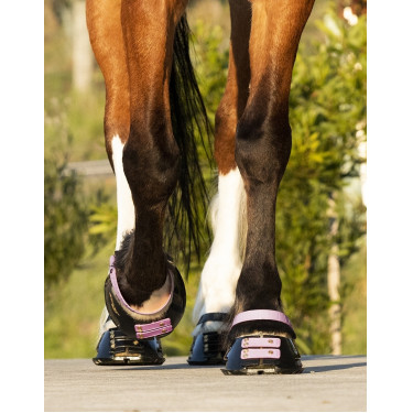 Paturonbanden Scoot Boots per 4 Bloesem Roze