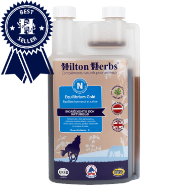 Equilibrium Gold Hilton Herbs