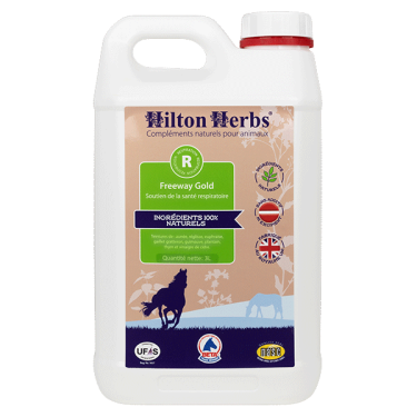 Freeway Gold Hilton Herbs Freeway Gold Hilton Herbs