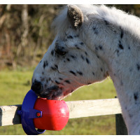 Zoutsteen Tongue Twister Likit Rood Zoutsteen Tongue Twister Likit Rood