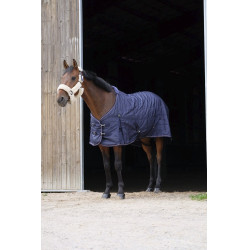Staldeken Equithème 840D