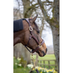 Lemieux leren halster met stiksel Bruin Lemieux leren halster met stiksel Bruin