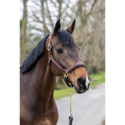 Lemieux leren halster met stiksel Bruin Lemieux leren halster met stiksel Bruin