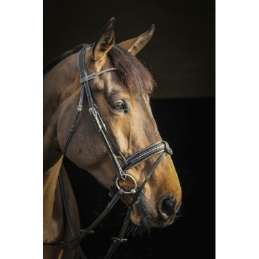 Bridon Pénélope Luxe Bridon Pénélope Luxe