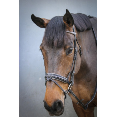 Bridon Pénélope Luxe Bridon Pénélope Luxe
