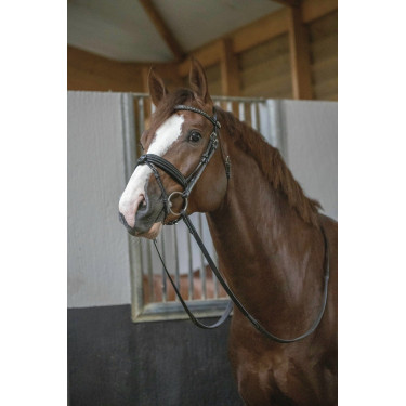 Bridon Pénélope Daily Zwart