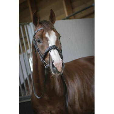 Bridon Pénélope Daily Zwart