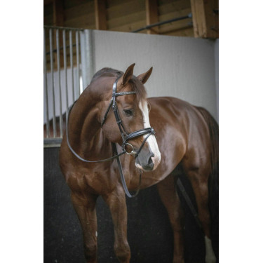 Bridon Pénélope Daily Zwart