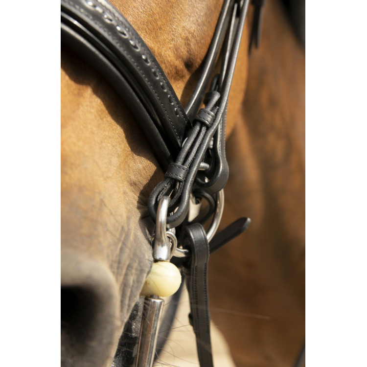 Pénélope Point Sellier hoofdstel Pénélope Point Sellier hoofdstel