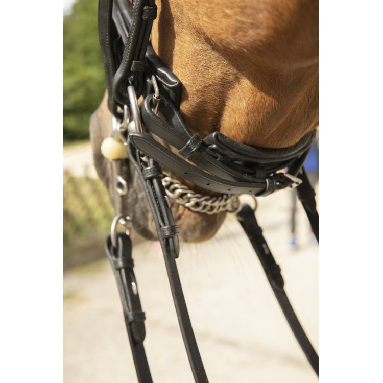 Pénélope Point Sellier hoofdstel Pénélope Point Sellier hoofdstel