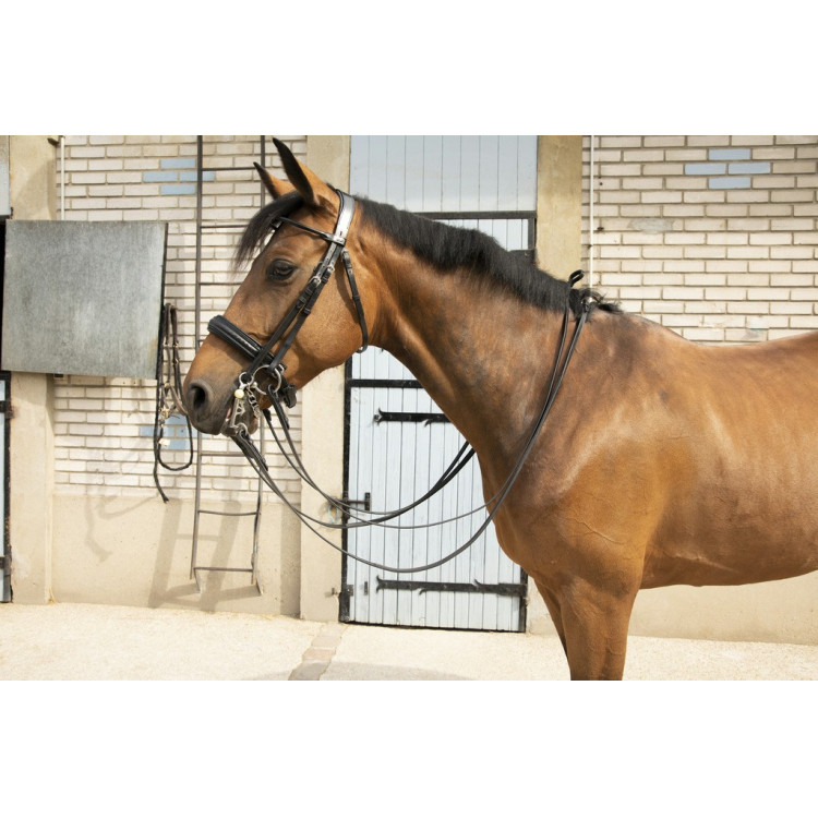 Pénélope Point Sellier hoofdstel Pénélope Point Sellier hoofdstel