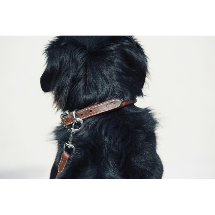Halsband voor hond Pénélope Point Sellier