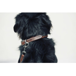 Halsband voor hond Pénélope Point Sellier Halsband voor hond Pénélope Point Sellier
