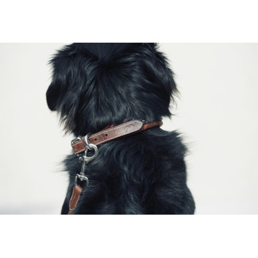 Halsband voor hond Pénélope Point Sellier Halsband voor hond Pénélope Point Sellier
