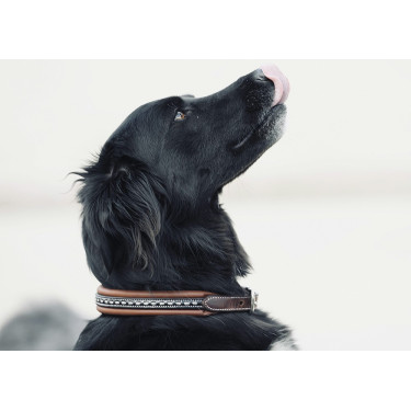 Halsband voor hond Pénélope Point Sellier Halsband voor hond Pénélope Point Sellier