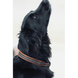 Halsband voor hond Pénélope Point Sellier Halsband voor hond Pénélope Point Sellier