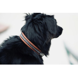 Halsband voor hond Pénélope Point Sellier Halsband voor hond Pénélope Point Sellier