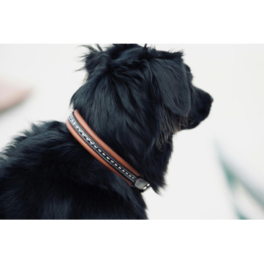 Halsband voor hond Pénélope Point Sellier Halsband voor hond Pénélope Point Sellier