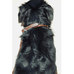 Halsband voor hond Pénélope Point Sellier Halsband voor hond Pénélope Point Sellier