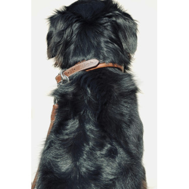 Halsband voor hond Pénélope Point Sellier Halsband voor hond Pénélope Point Sellier