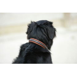 Halsband voor hond Pénélope Point Sellier Halsband voor hond Pénélope Point Sellier