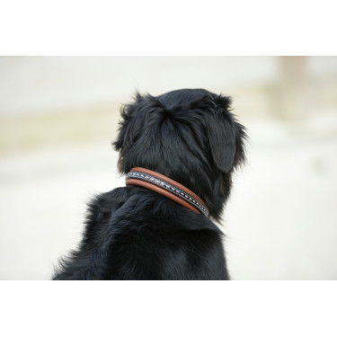 Halsband voor hond Pénélope Point Sellier Halsband voor hond Pénélope Point Sellier