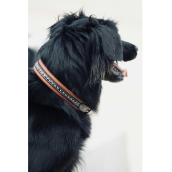 Halsband voor hond Pénélope Point Sellier Halsband voor hond Pénélope Point Sellier