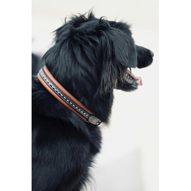 Halsband voor hond Pénélope Point Sellier Halsband voor hond Pénélope Point Sellier