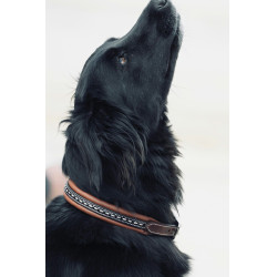 Halsband voor hond Pénélope Point Sellier Halsband voor hond Pénélope Point Sellier