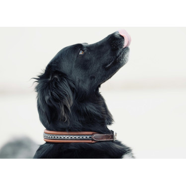 Halsband voor hond Pénélope Point Sellier Halsband voor hond Pénélope Point Sellier