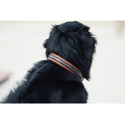 Halsband voor hond Pénélope Point Sellier Halsband voor hond Pénélope Point Sellier