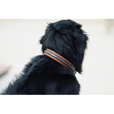 Halsband voor hond Pénélope Point Sellier Halsband voor hond Pénélope Point Sellier