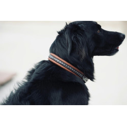Halsband voor hond Pénélope Point Sellier Halsband voor hond Pénélope Point Sellier