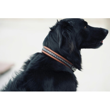 Halsband voor hond Pénélope Point Sellier Halsband voor hond Pénélope Point Sellier