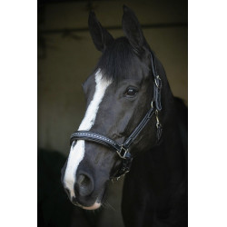 Lederen halster Pénélope Point Sellier Zwart