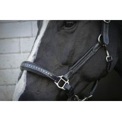 Lederen halster Pénélope Point Sellier Zwart