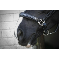 Lederen halster Pénélope Point Sellier Zwart