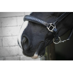 Lederen halster Pénélope Point Sellier Zwart