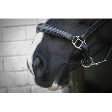 Lederen halster Pénélope Point Sellier Zwart